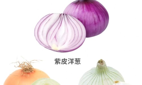 权威风痛片的作用与功效平台,分享专业风痛胶囊的作用与功效说明书知识_风痛胶囊的作用与功效网