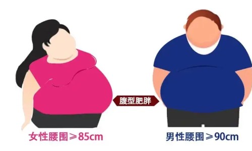 风痛胶囊说明书-权威风痛片的作用与功效平台,分享专业风痛胶囊的作用与功效说明书知识_风痛胶囊的作用与功效网